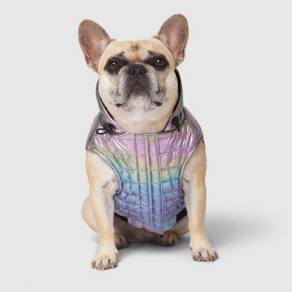Canada Pooch Puffer Coat